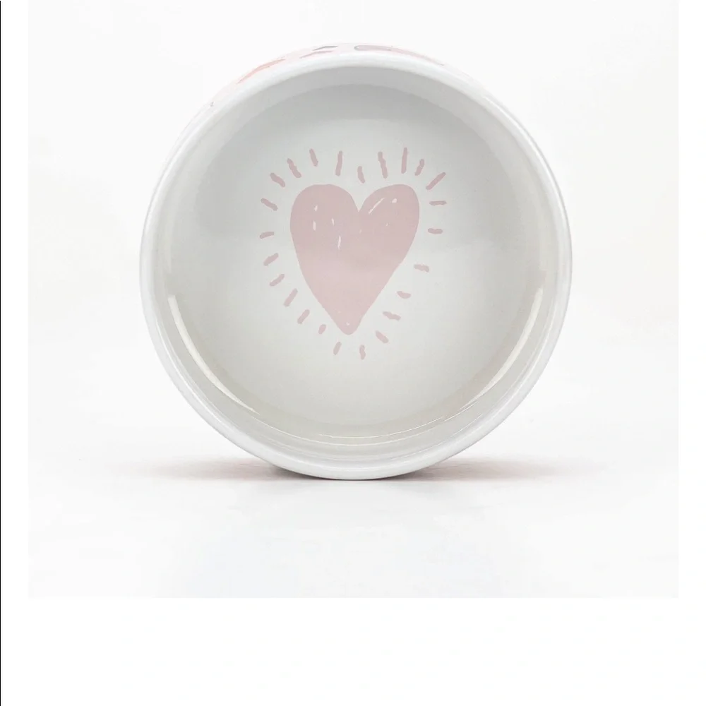 Matching mug and Pet bowl.